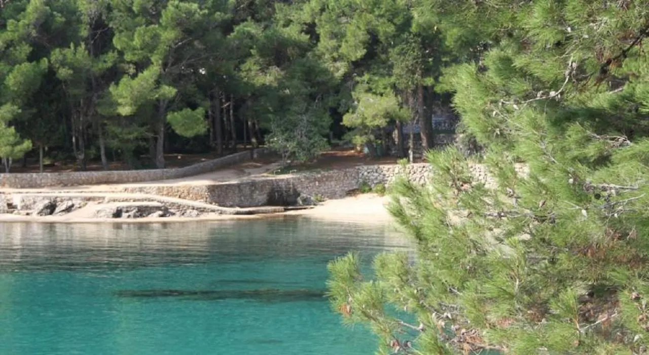 Nerezine Centrum Apartman Pro 3 Osoby Croatia